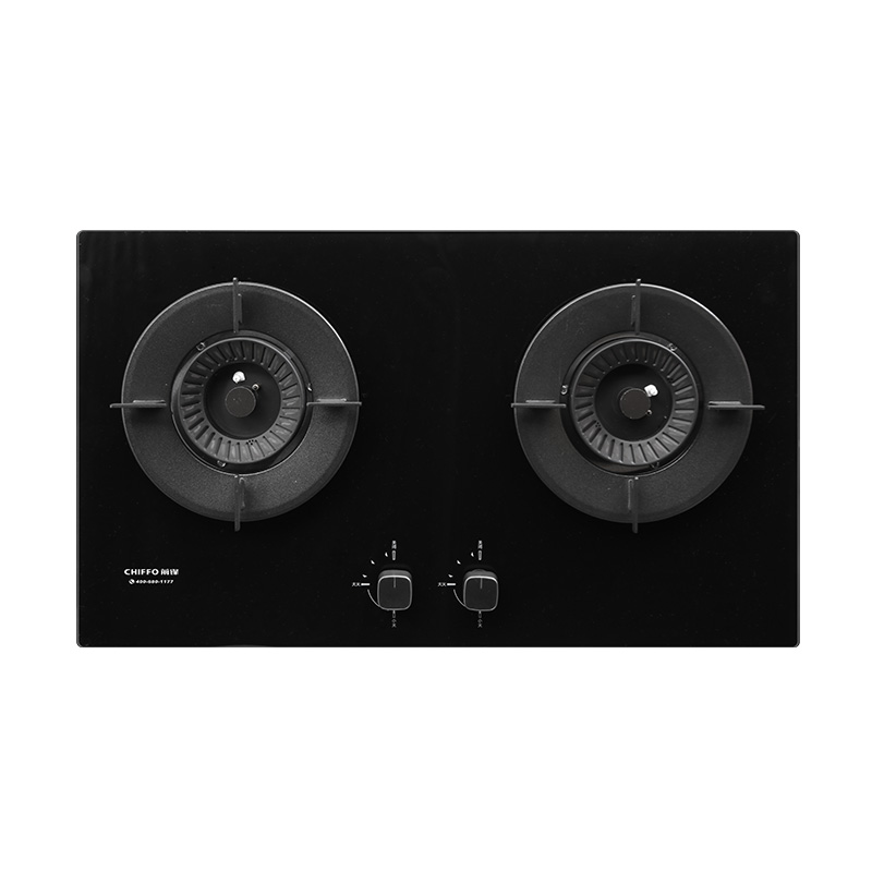 Cocina de Gas LPG de 2 Quemado - Electronics & Tech Gadgets reseña y precio